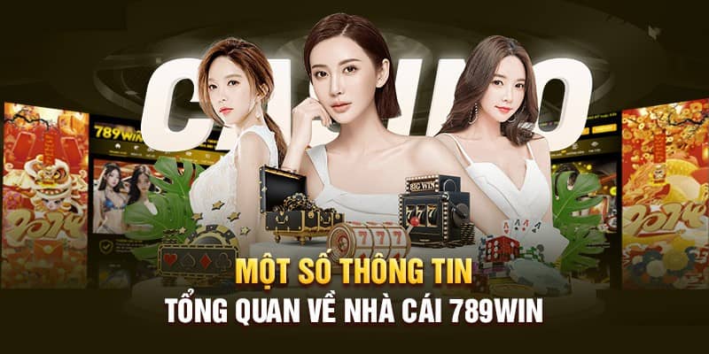 Một số thông tin về 789Win là ưu điểm để người chơi lựa chọn