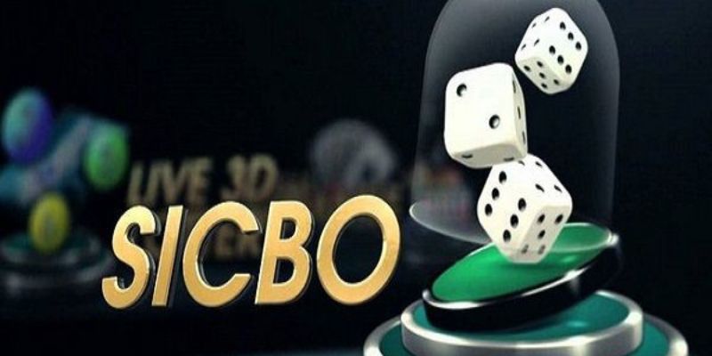 Mẹo chơi Sicbo Online theo cầu 